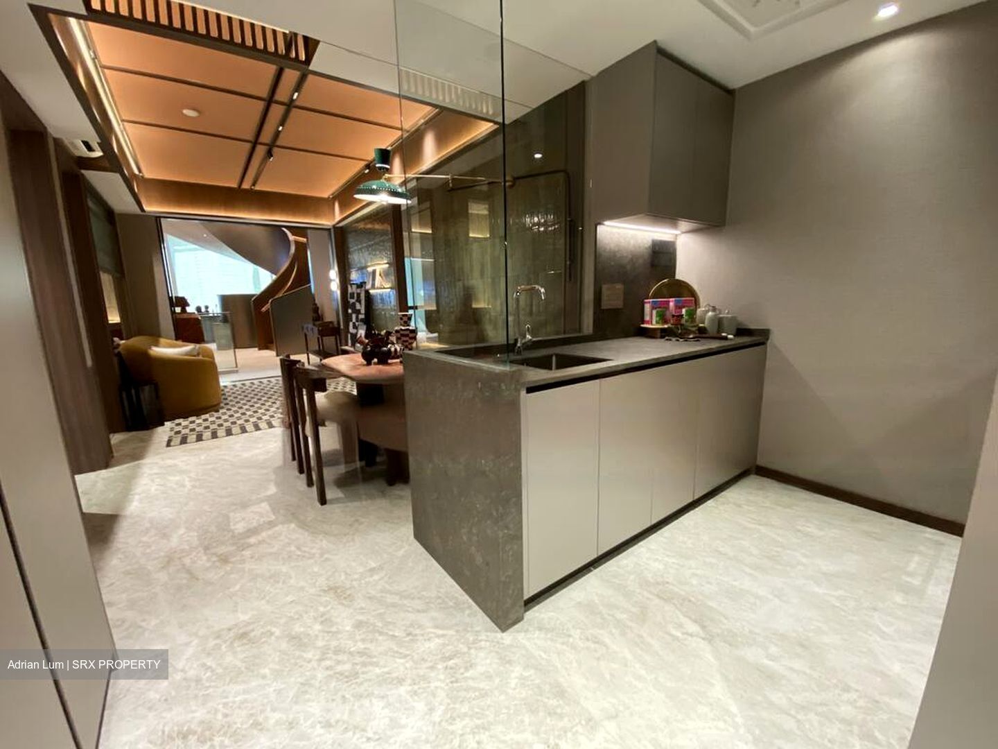 THE ROBERTSON OPUS (D9), Apartment #477800691